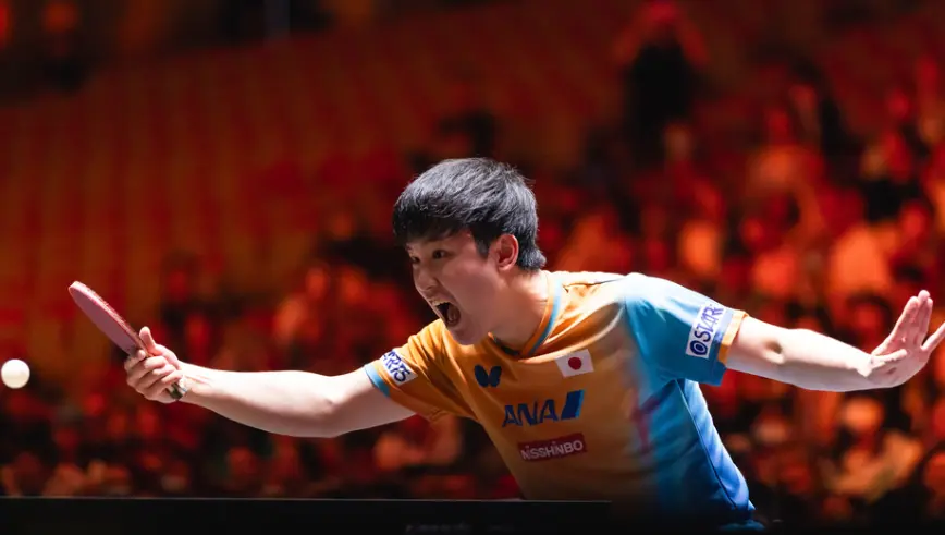 yid, img, amp yid, img, amp